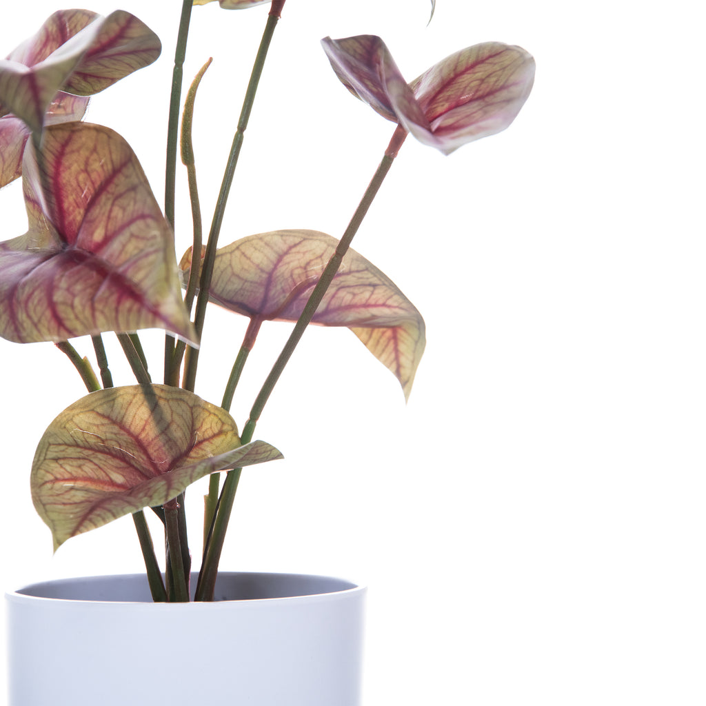 Jarrón Decorativo con Planta